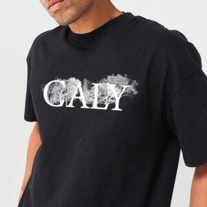 Caly 013