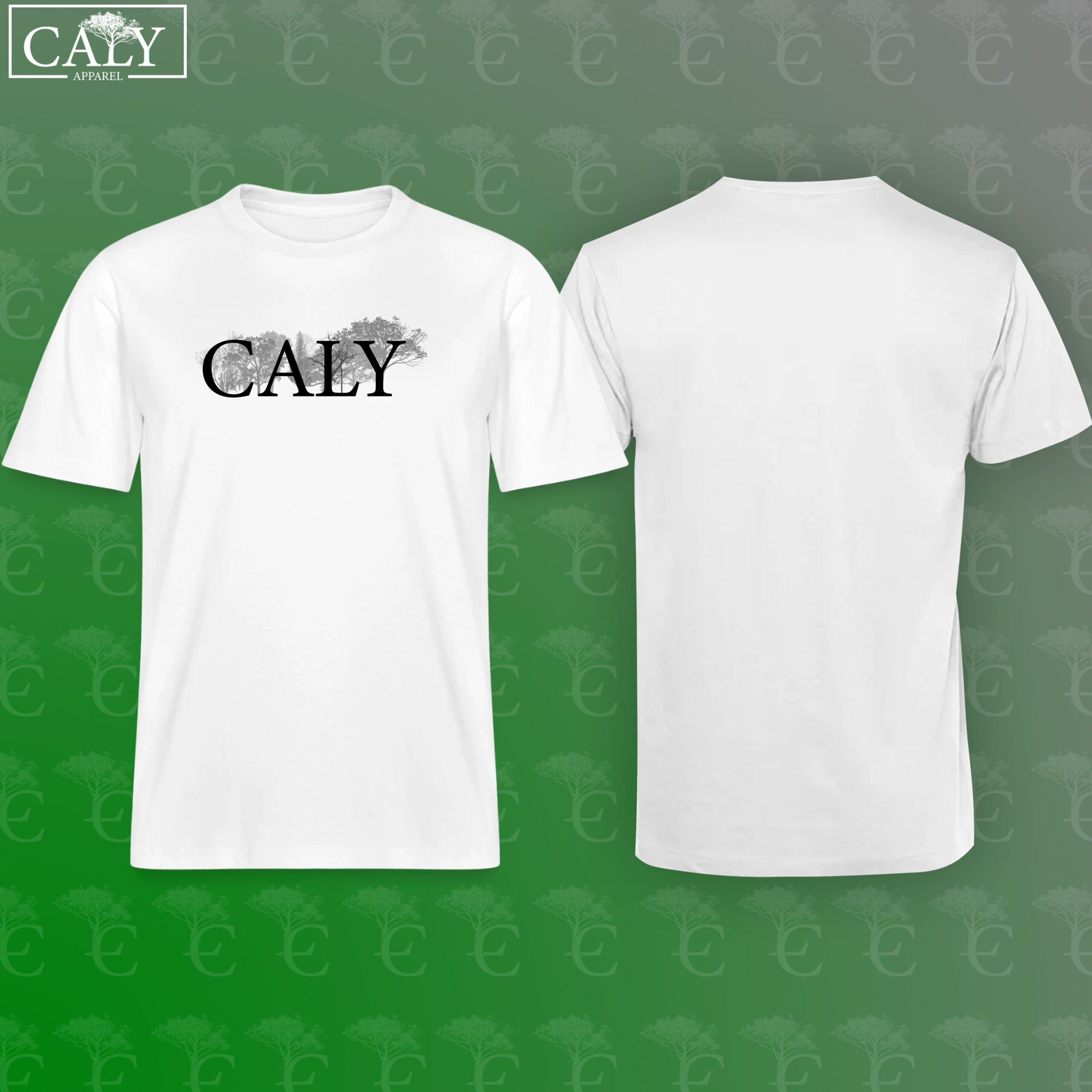 Caly 013 - Image 3